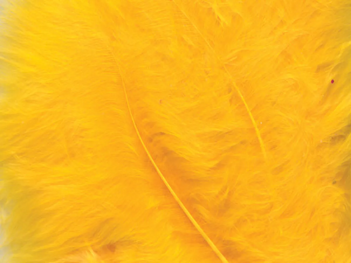 Fjær, orange 