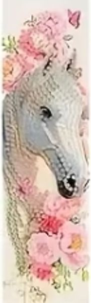 Hovedbilde Hest 1